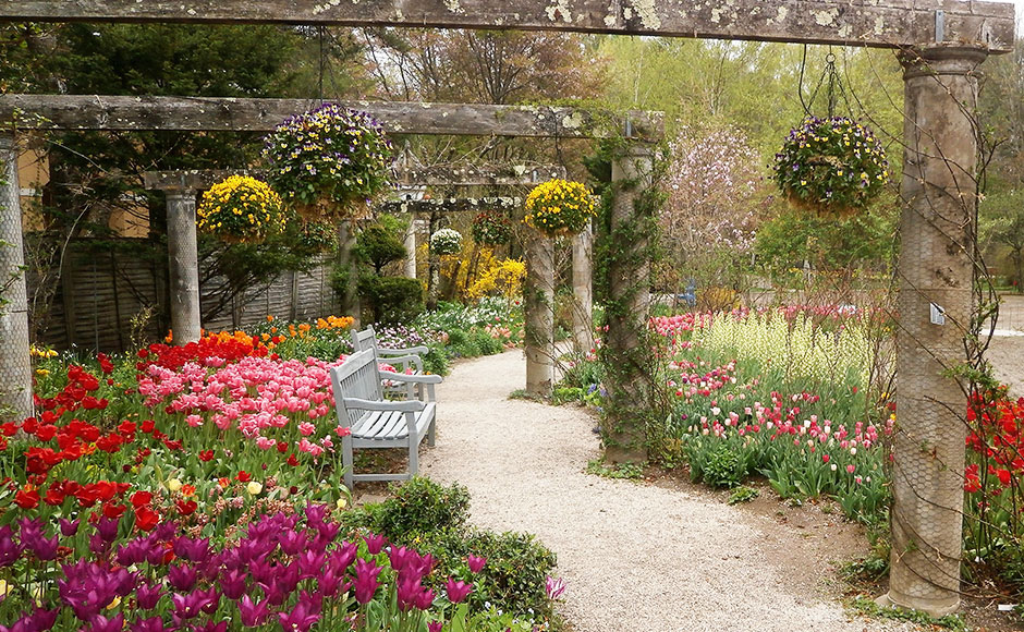 蓼科高原玫瑰克拉英式花園 Barakura English Garden 遊覽資訊及附近飯店 Mystays