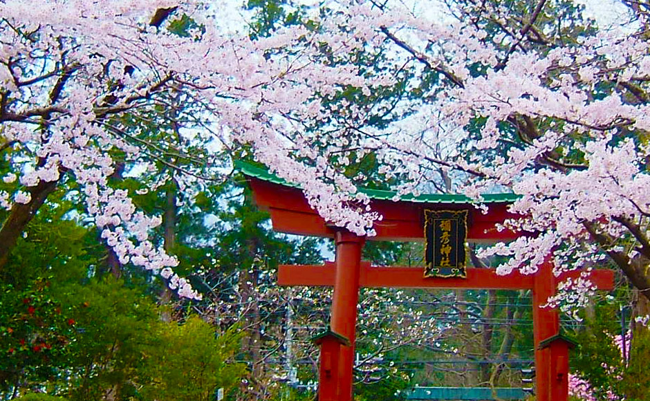 彌彦神社 | 【公式】マイステイズ・ホテル・グループ