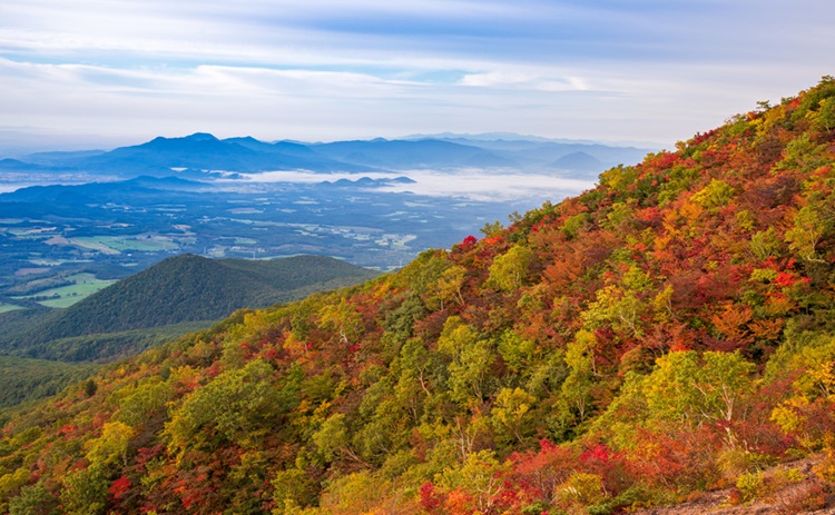 岩手山 東北地方 トラベルガイド ホテル マイステイズ Mystays