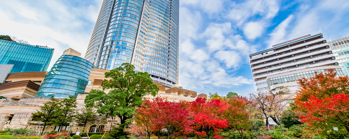 Roppongi Hills Tips And Hotels You Need To Know About Mystays