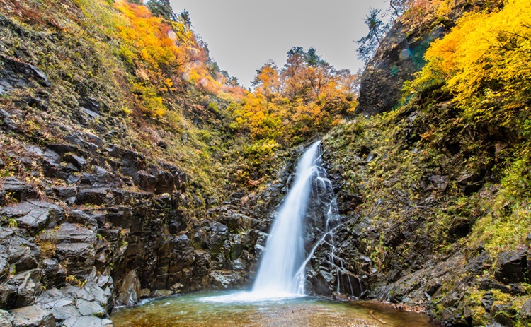 白神山地 トラベルガイド ホテル マイステイズ Mystays