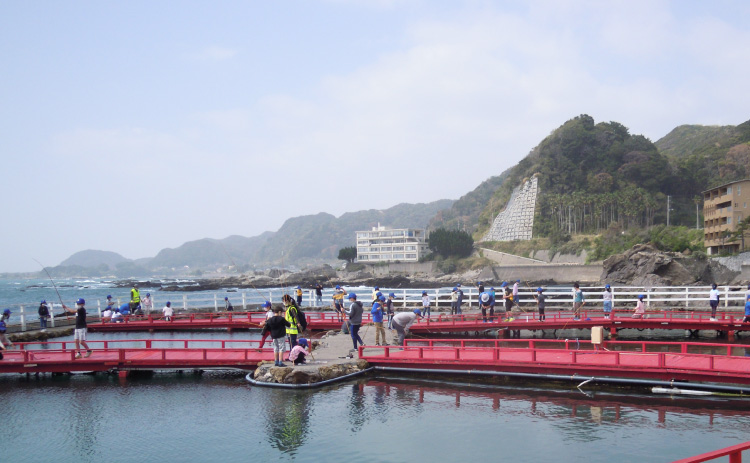 太海フラワー磯釣りセンター 千葉 ガイド ホテル マイステイズ Mystays