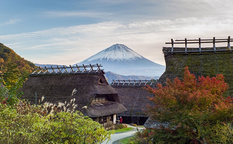 西湖いやしの里根場 富士河口湖町 トラベルガイド ホテル マイステイズ Mystays