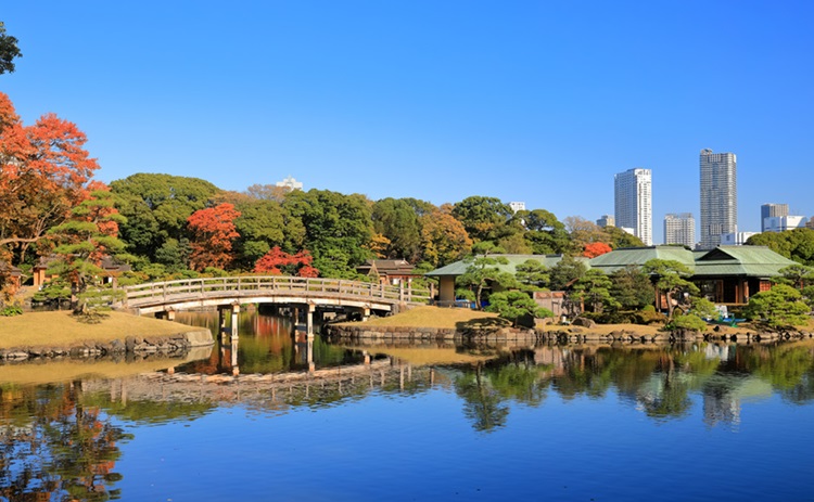 浜離宮恩賜庭園 汐留 トラベルガイド ホテル マイステイズ Mystays