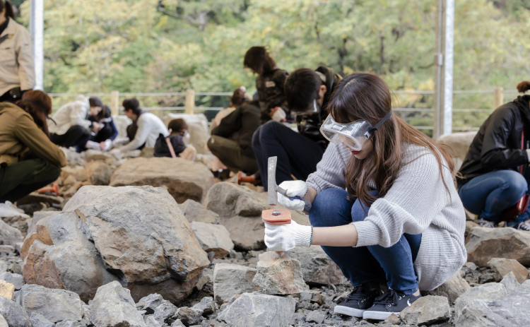 福井県立恐竜博物館 福井 トラベルガイド ホテル マイステイズ Mystays