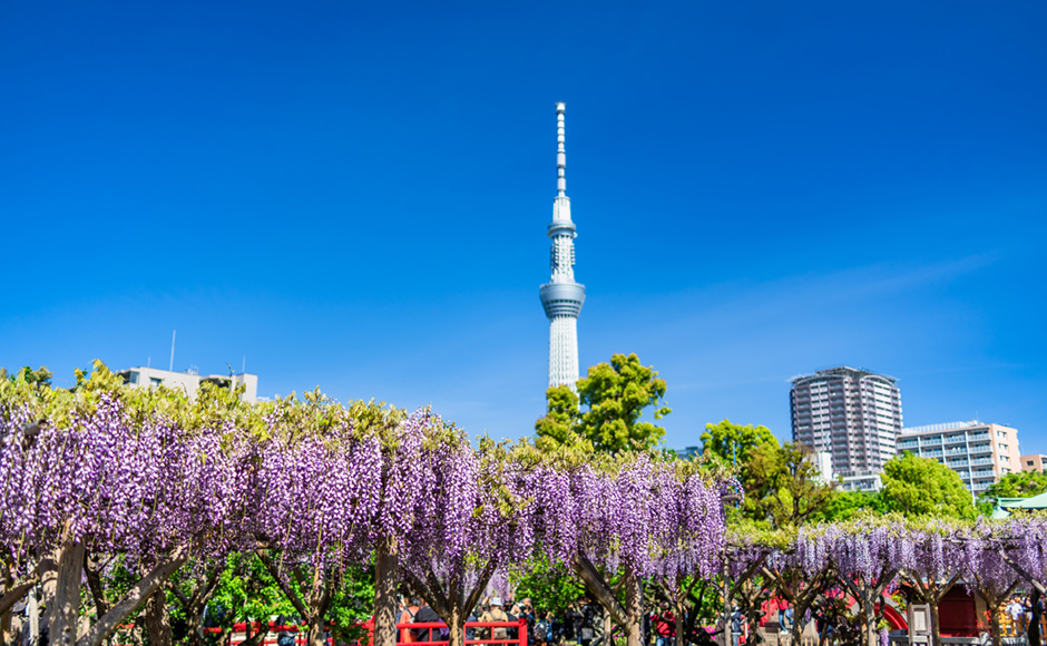 龟户天神 日本东京 游览资讯及附近酒店 MYSTAYS