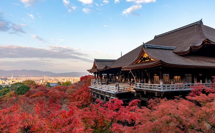 清水寺 日本京都 遊覽資訊及附近飯店 Mystays