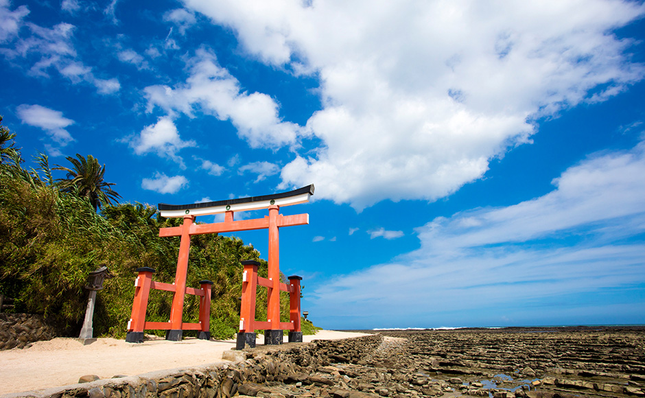 Aoshima Island - Miyazaki Travel