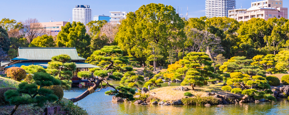 ららぽーと豊洲 東京 ガイド ホテル マイステイズ Mystays