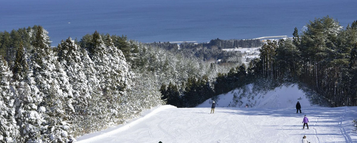 まかど温泉スキー場 トラベルガイド ホテル マイステイズ Mystays